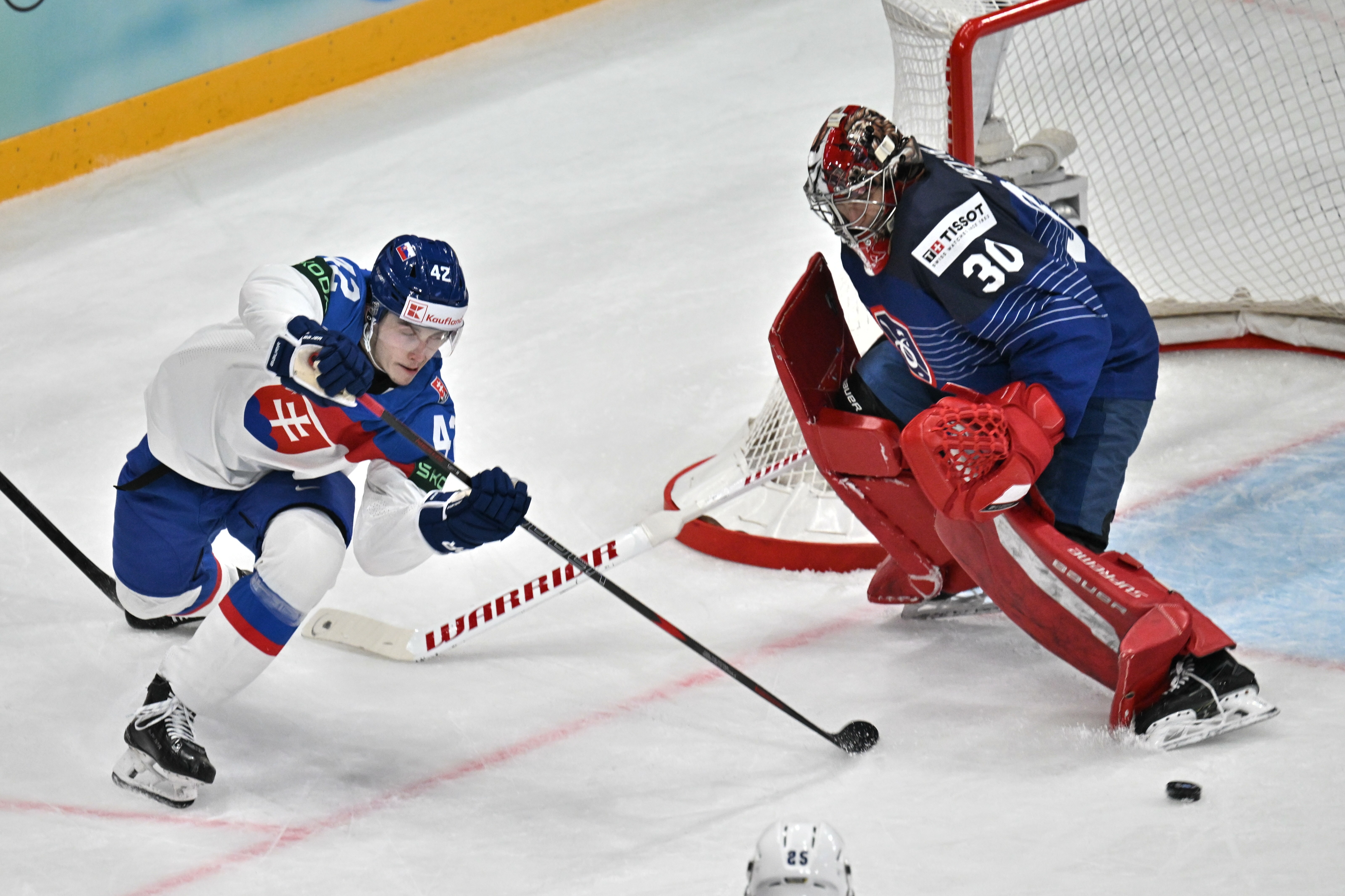 Zápas Slovensko - Francúzsko 